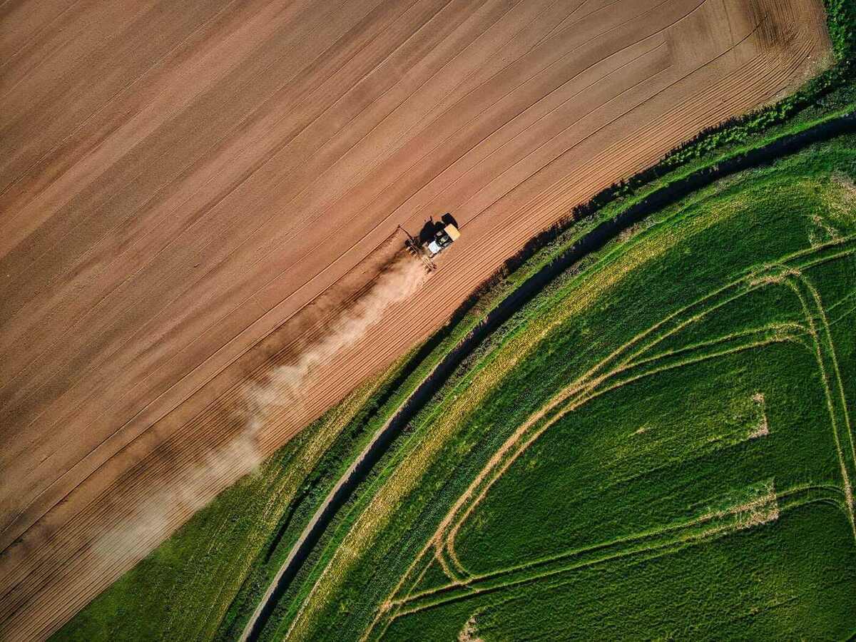 Vista aérea de talhões irrigados por pivô